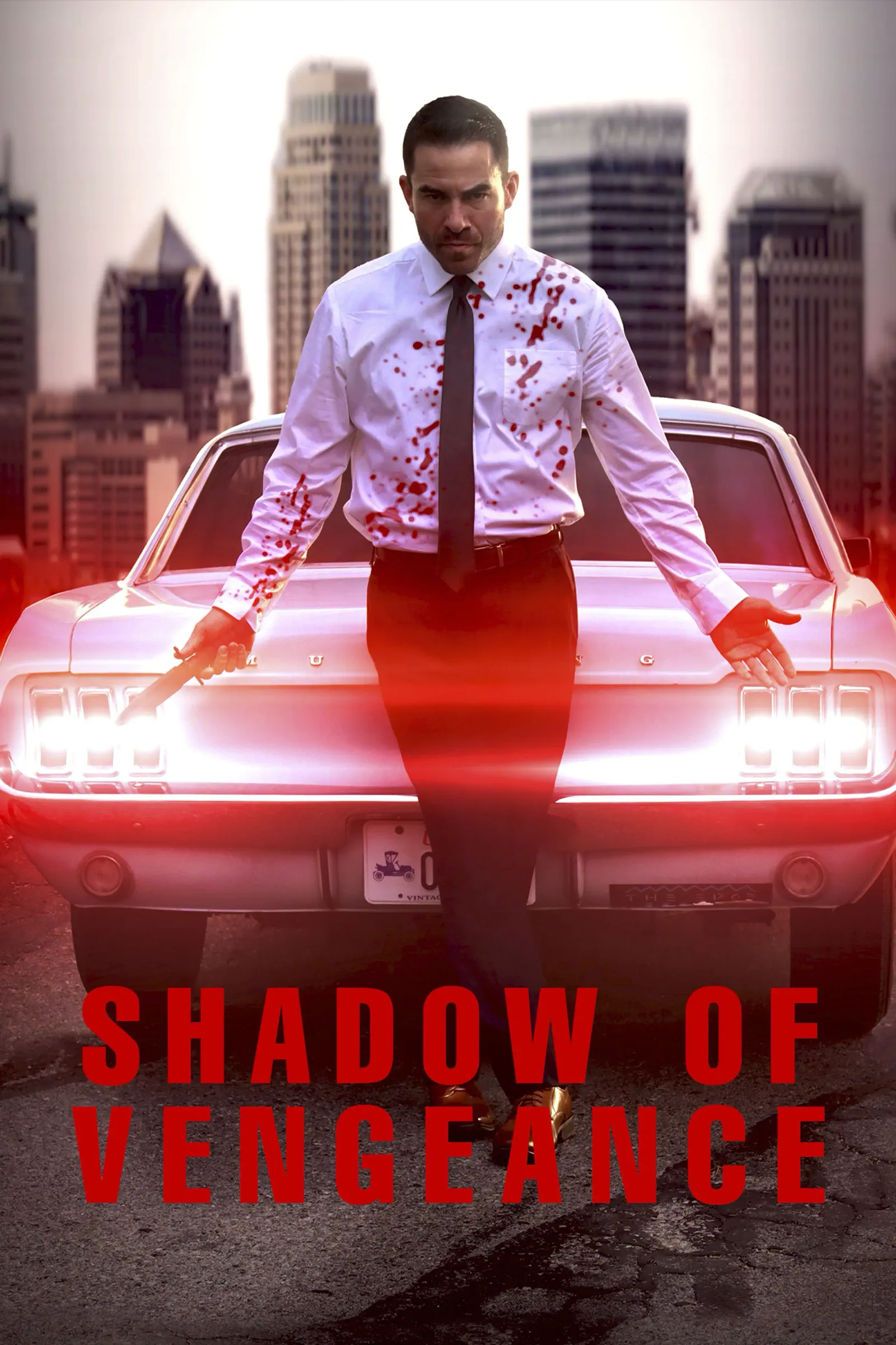 Shadow Of Vengeance